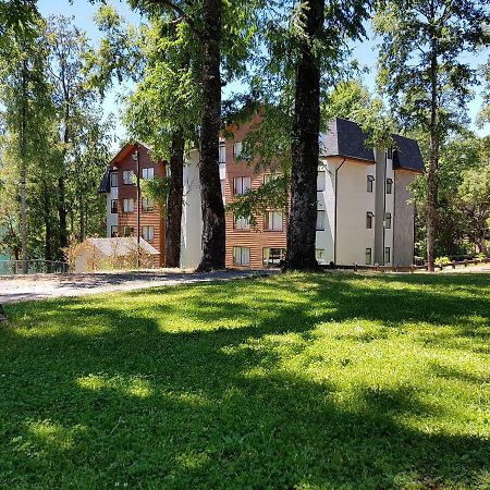 Depto Parque Suizo 800 Daire Pucón Dış mekan fotoğraf
